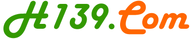 H139上网导航