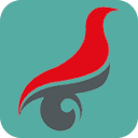 学信网学历查询