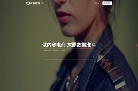 灰豚数据