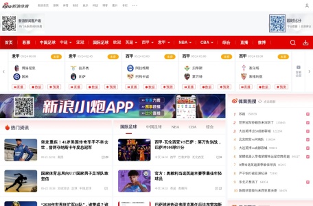 新浪2026世界杯