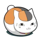 影猫の仓库