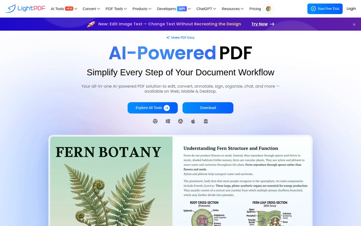 LightPDF